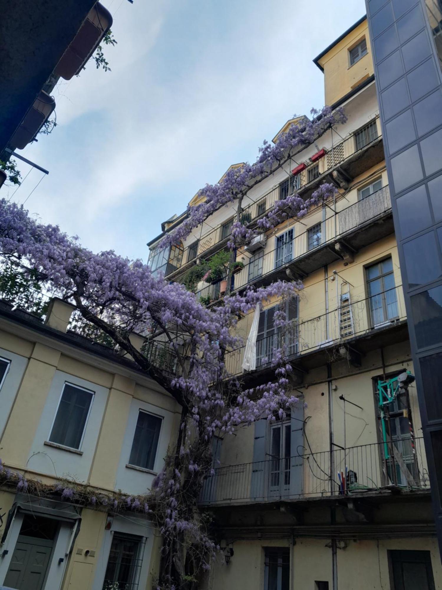 Alloggio Torino Inquadro Εξωτερικό φωτογραφία